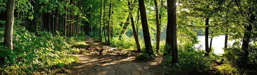 Outfitter Program