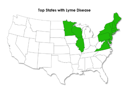 Lyme Disease Map